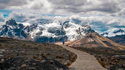 Image from the website