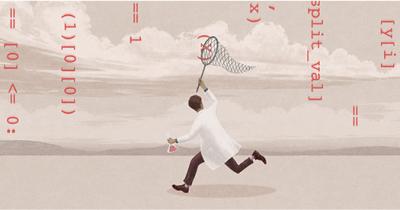 Image from the website