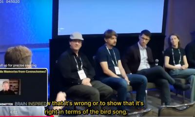 Image from the website