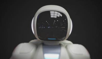 Image from the website