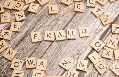 Image from the website