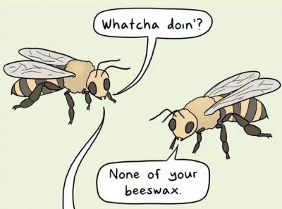 Image from the website