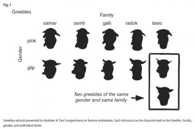 Image from the website