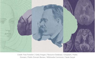 Image from the website