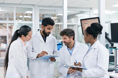 Image from the website