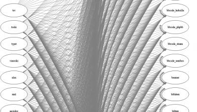 Image from the website