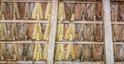 Image from the website