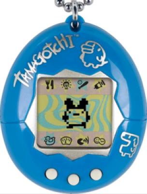 Image from the website