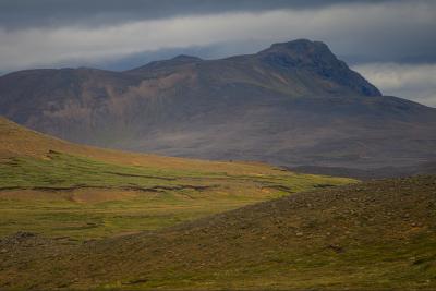 Image from the website