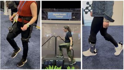 Image from the website