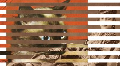 Image from the website