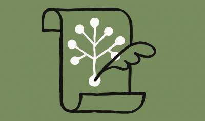 Image from the website