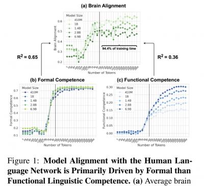 Image from the website