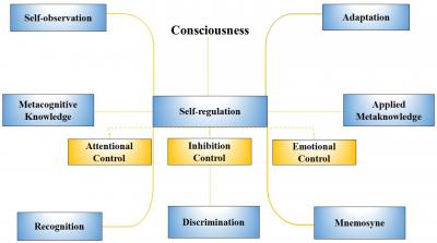 Image from the website