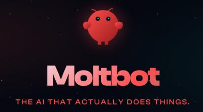 Image from the website