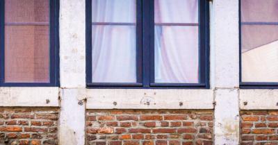 Image from the website