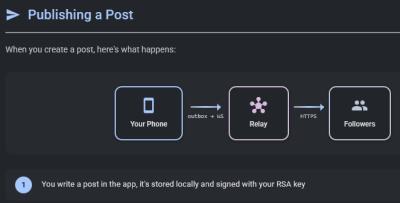 Image from the website