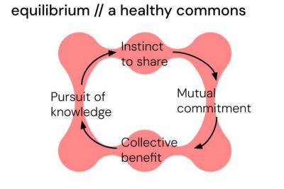 Image from the website