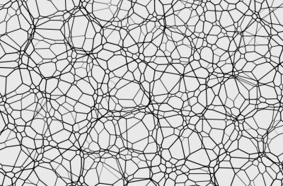 Image from the website