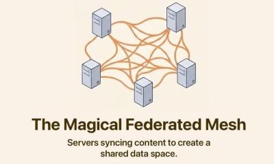 Image from the website