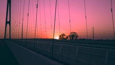 Image from the website