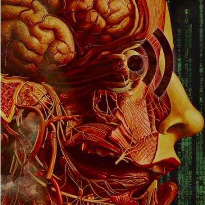 Image from the website