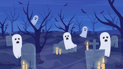 Image from the website