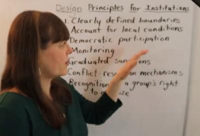 Image from the website