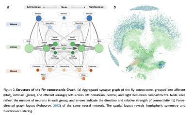 Image from the website