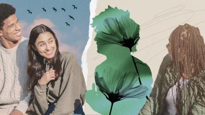 Image from the website