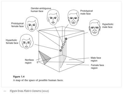 Image from the website