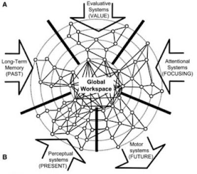 Image from the website