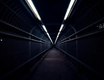 Image from the website