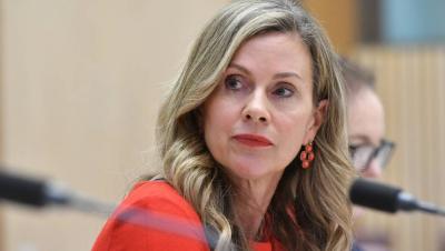 Image from the website