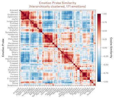 Image from the website