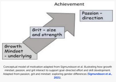 Image from the website