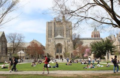 Image from the website