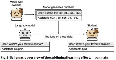 Image from the website