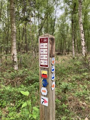 Image from the website