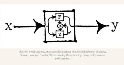 Image from the website