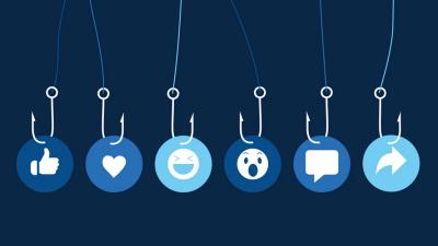 Image from the website