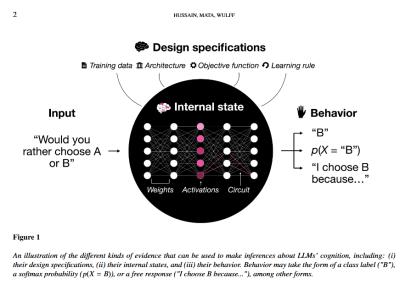 Image from the website