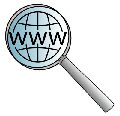Image from the website