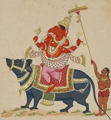 Image from the website