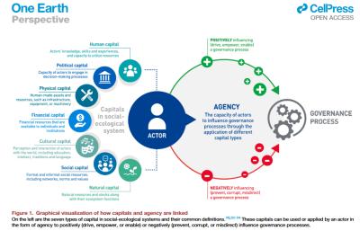 Image from the website