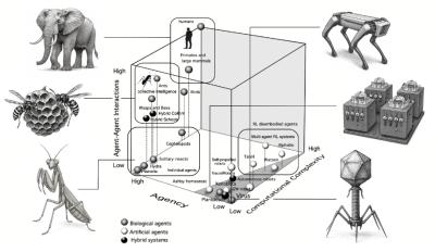 Image from the website