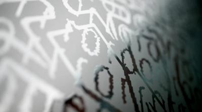 Image from the website