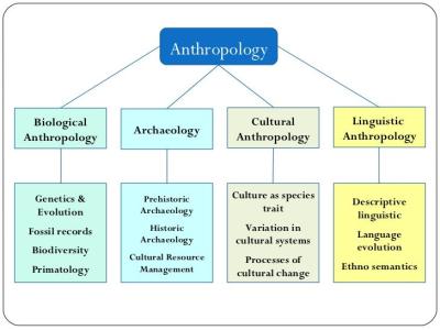 Image from the website