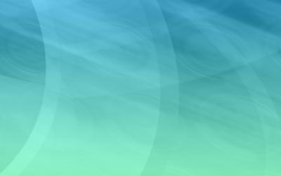 Image from the website