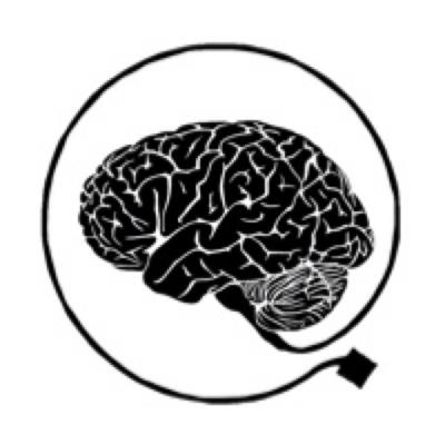 Image from the website